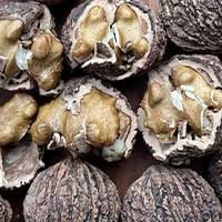 SugarMute Ingredients